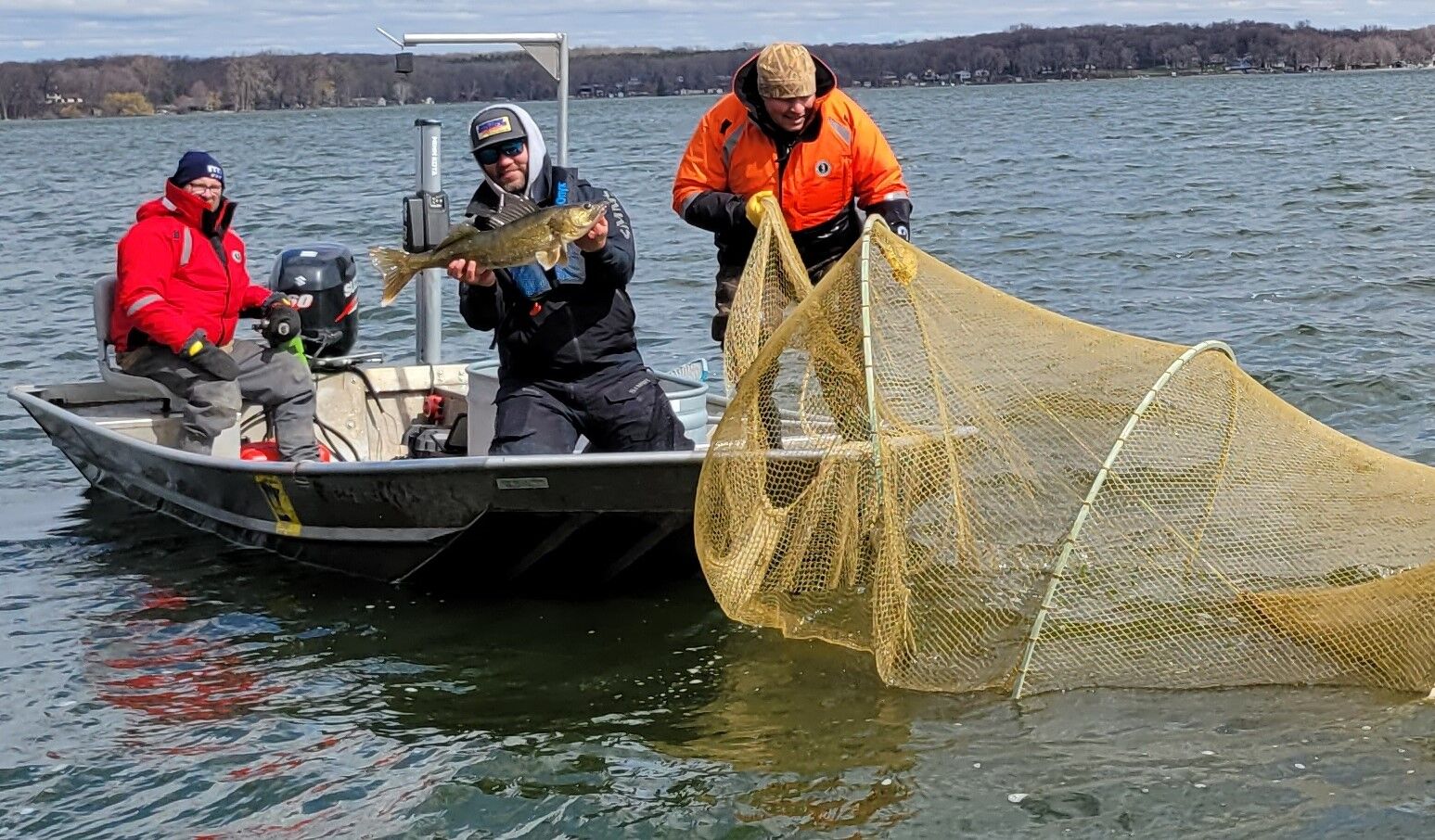 Muskie walleye.jpg